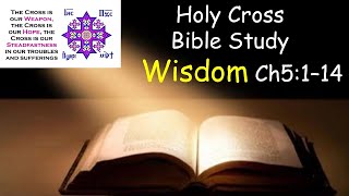 The Wisdom of Solomon Bible Study Ch 5114 1092024 [upl. by Eiramanin]