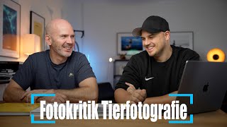 Fotokritik Tiere fotografieren mit Chris Kaula [upl. by Frans]