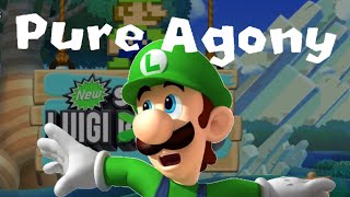 The New Super Luigi U ExperienceFULL STREAM [upl. by Acenahs]