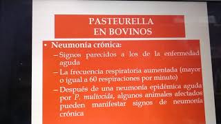 Bacteriología Pasteurella multocida clase [upl. by Eniffit304]