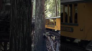 Roaring Camp Railroad Redwood Forest Steam Train near Santa Cruz Beach 4K HDR steamtrains [upl. by Goulet399]