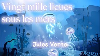 Vingt mille lieues sous les mers Première partieChapitre 16 Promenade en plaine [upl. by Sabella]