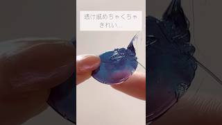 粘度が高い透明ひまわりワックスもホットプレートで解決？！ シーリングスタンプ シーリングワックス waxseal [upl. by Nerraw]