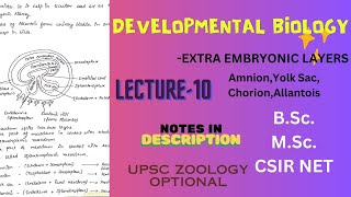 Extra Embryonic Membranes  UPSC  BSc  MSc  Notes in description [upl. by Ardnad]