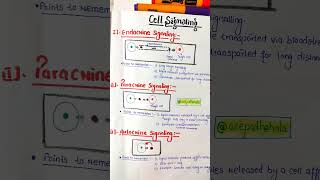 Cell Signalling  Endocrine  Paracrine  Autocrine acepathshala shorts cellsignaling biology [upl. by Juline]