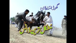 best horse dance in pakistan No12 [upl. by Nahs]