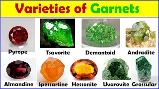 Varieties of garnets gemstones Pyrope Almandine Spessartine Demantoid Tsavorite [upl. by Coralie]