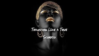 Transform Like a True Scorpio [upl. by Erinna987]