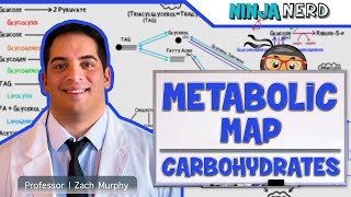 Metabolism  The Metabolic Map Carbohydrates [upl. by Diana87]