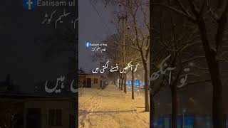 Moahabbat Diary hargiz nahe hay eatisamulhaq trendingshorts trending love [upl. by Nebur827]