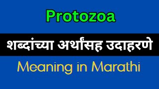 Protozoa Meaning In Marathi  Protozoa explained in Marathi [upl. by Annaej]