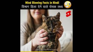 Mind Blowing Facts in Hindi 🤯🧠 Amazing Facts  Interesting facts  Top 10 HindiTVIndia Shorts [upl. by Ehr]