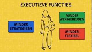 Autisme Wat zijn Executieve functies [upl. by Louisette]