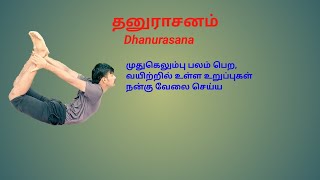 Dhanurasana  தனுராசனம் [upl. by Kitchen135]