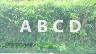 アルファベ ABCD （フランス語） [upl. by Llerrem103]