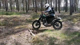 Suzuki XF 650 Freewind Scrambler Custom Build [upl. by Rexanne962]