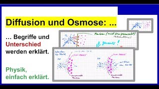 Diffusion und Osmose Begriffe und Unterschied werden erklärt [upl. by Hoon]