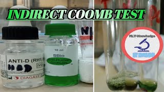 Indirect coomb testIndirect antiglobulin test procedure [upl. by Rez]