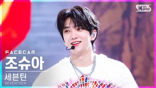 페이스캠4K 세븐틴 조슈아 HOT SEVENTEEN JOSHUA FaceCam│SBS Inkigayo20220529 [upl. by Charleton39]