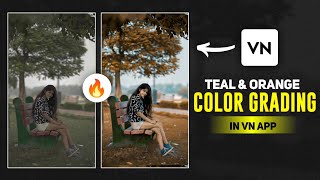 Vn Video Editor Colour Grading Tutorial For Beginners  How To Colour Grade Video In Vn App [upl. by Bettye]