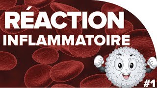 Réaction inflammatoire  SVT  SANTÉ 1ère spé 7  Mathrix [upl. by Leahci]