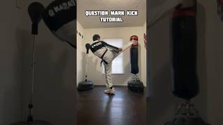 Question Mark Kick Tutorial 🥋 shorts [upl. by Colner]