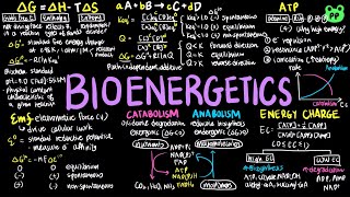 Bioenergetics  Principles of Metabolism 01  Biochemistry  PP Notes  Lehninger 6E Ch13 [upl. by Yert754]