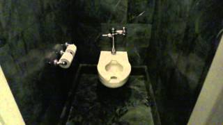 Bathroom Tour American Standard Toilet and Urinal Ritz Carlton Hotel Clayton MO [upl. by Ancier]