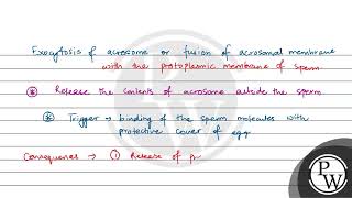 Acrosome reaction in sperm is triggered by [upl. by Paryavi674]