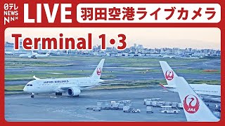 【ライブカメラ】羽田空港 quotT1quot quotT3quot HANEDATokyo International Airport（日テレNEWS LIVE） [upl. by Bennir]