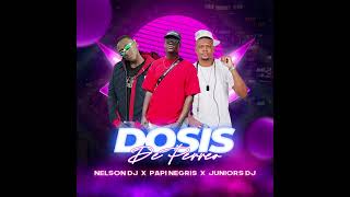 DOSIS DE PERREO  PAPI NEGRIS  NELSON DJ  JUNIOR DJ [upl. by Aikyt]