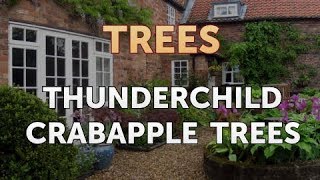 Thunderchild Crabapple Trees [upl. by Meurer]