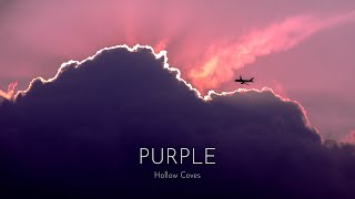 Hollow Coves  Purple Lyrics [upl. by Domenech]