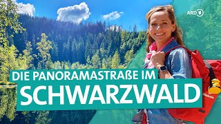 Der Schwarzwald – Von Freudenstadt über die Hochstraße nach BadenBaden  ARD Reisen [upl. by Yauq662]