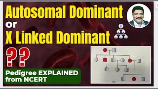 Confusion from New NCERT Autosomal Dominant or X Linked Dominant  Explained neet neet2024 [upl. by Harli]