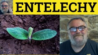 🔵 Entelechy Meaning  Entelechy Examples  Philosophy  Define Entelechy  Entelechy Explained [upl. by Bettencourt]