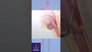 Laryngopharyngeal reflux shorts education [upl. by Goss]