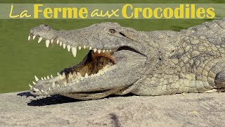 LA FERME AUX CROCODILES  RÉSERVE TROPICALE [upl. by Noedig505]