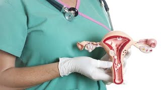 تشريح الجهاز التناسلي الأنثوي  Female reproductive system [upl. by Animehliw]