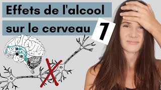 Les effets de lalcool sur le cerveau PARTIE 1 [upl. by Ferdinana281]