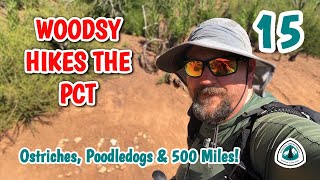 PCT Episode 15  Four Days to HikertownOstrich FarmPoodledog Bush Gauntlet500 Miles [upl. by Minta]