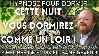 Hypnose POUR DORMIR COMME UN LOIR 🚨Guérissez votre sommeil [upl. by Nivert]