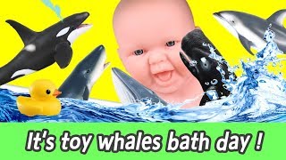 EN Its toy whales bath day lets learn whale names for kids 153ㅣCoCosToy [upl. by Pega]