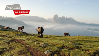 DOLOMITES Val Gardena  Summeremotions in the Dolomites [upl. by Clougher]