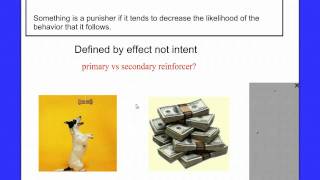 Learning Part 2 Introduction to Operant Conditioning [upl. by Asyral]