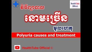 នោមច្រើន មូលហេតុនិងវិធីព្យាបាល l Polyuria causes and treatment l នោមច្រើន l HealthTube Official [upl. by Annoyek]