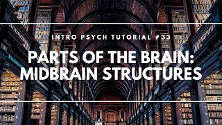 Parts of the Brain Midbrain Structures Intro Psych Tutorial 33 [upl. by Yentruok185]