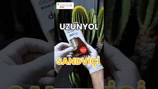 Petrol marketi sandviçleri alınır mı sandwich shell [upl. by Dnomse]