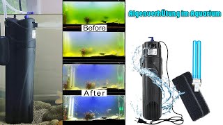 AquariumWasserfilter mit UVCLampe zur Algenbekämpfung und Keimabtötung [upl. by Che28]