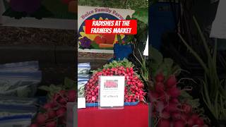 Radishes at the Farmers Market radish farmersmarket vegetable farm farmlife farmshorts crop [upl. by Dnamra]